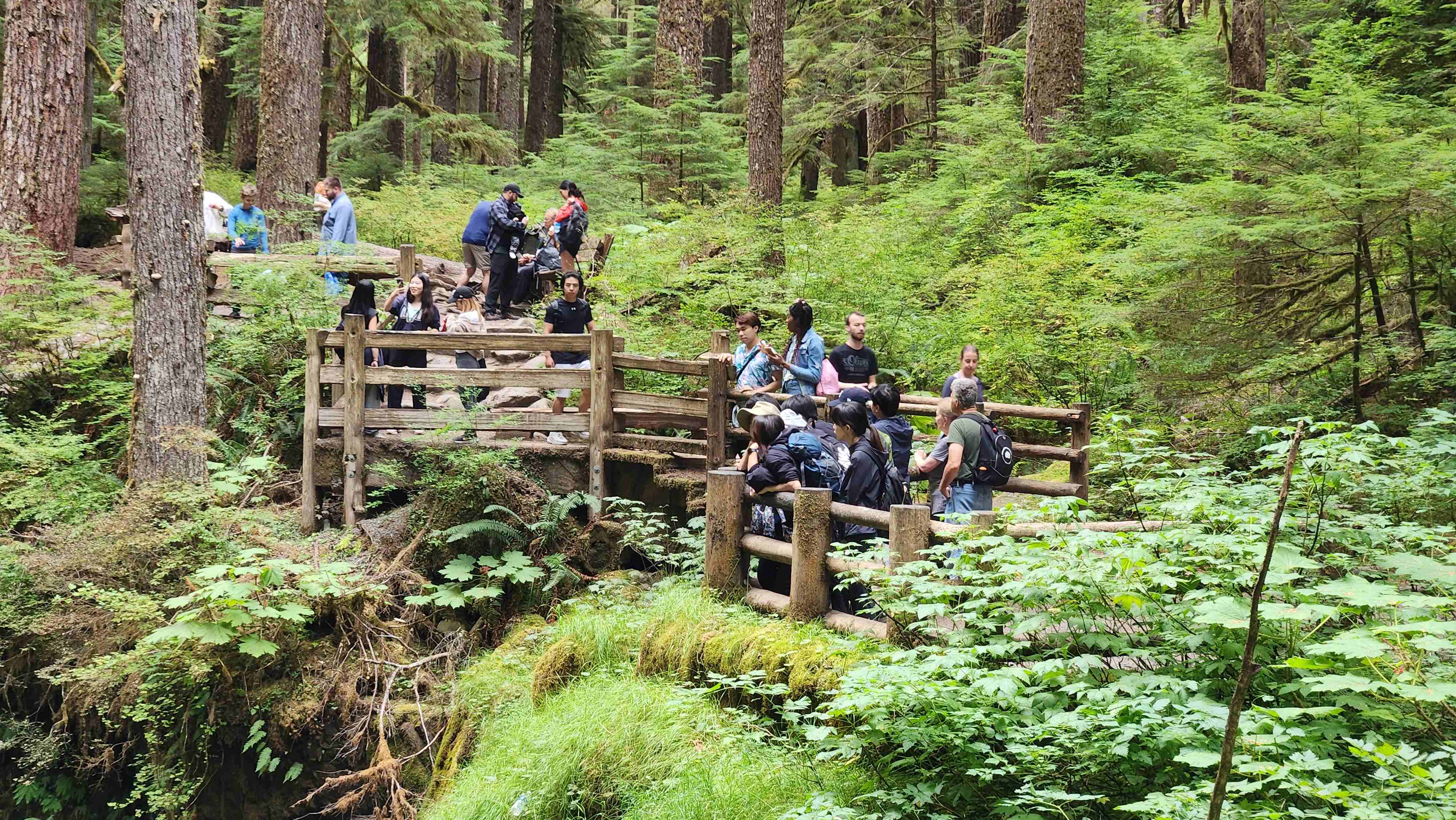 Sol Duc Falls Hike Sol Duc Falls Hike